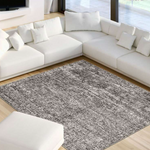 Area Rugs and Carpets