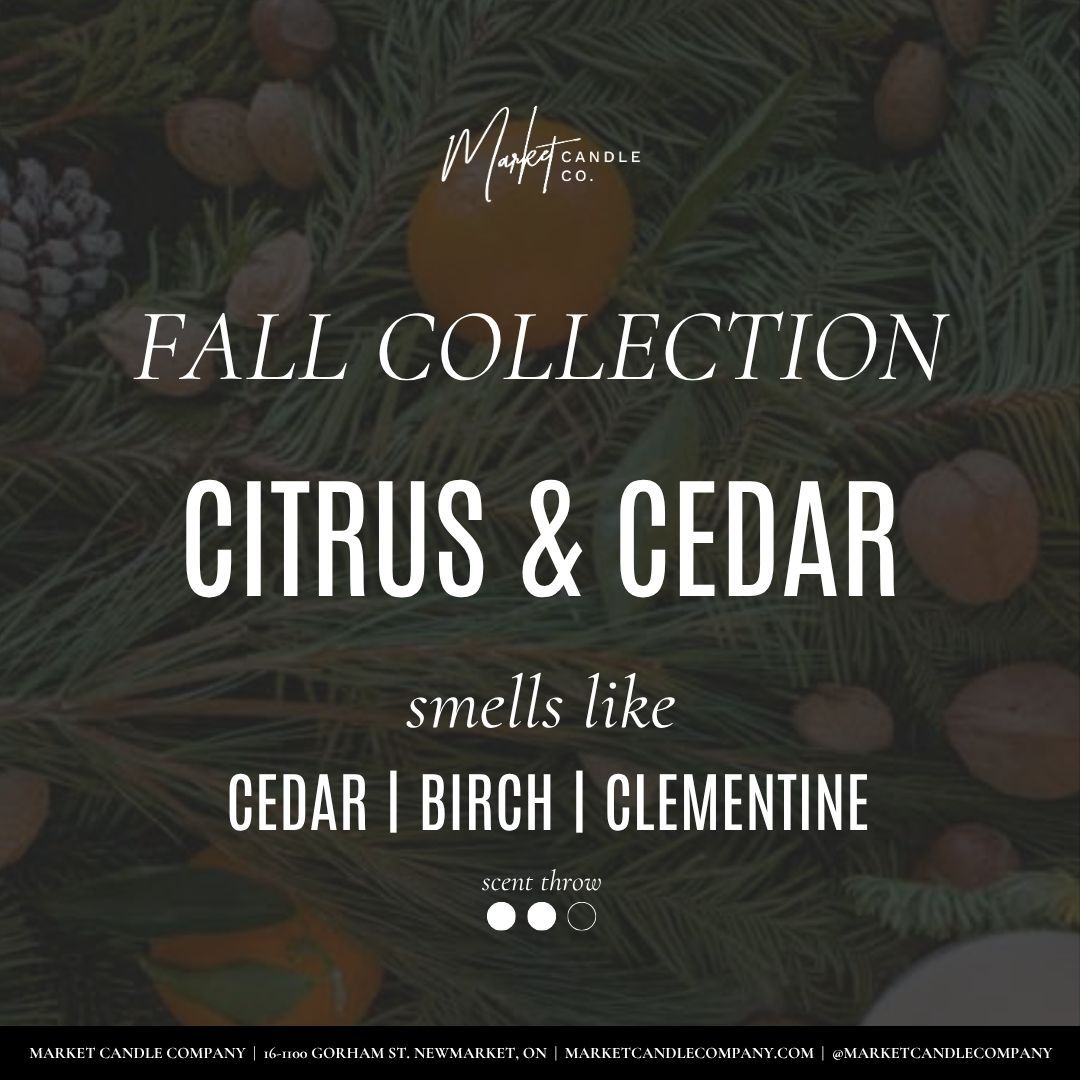 Citrus & cedar candle and reed - Duo