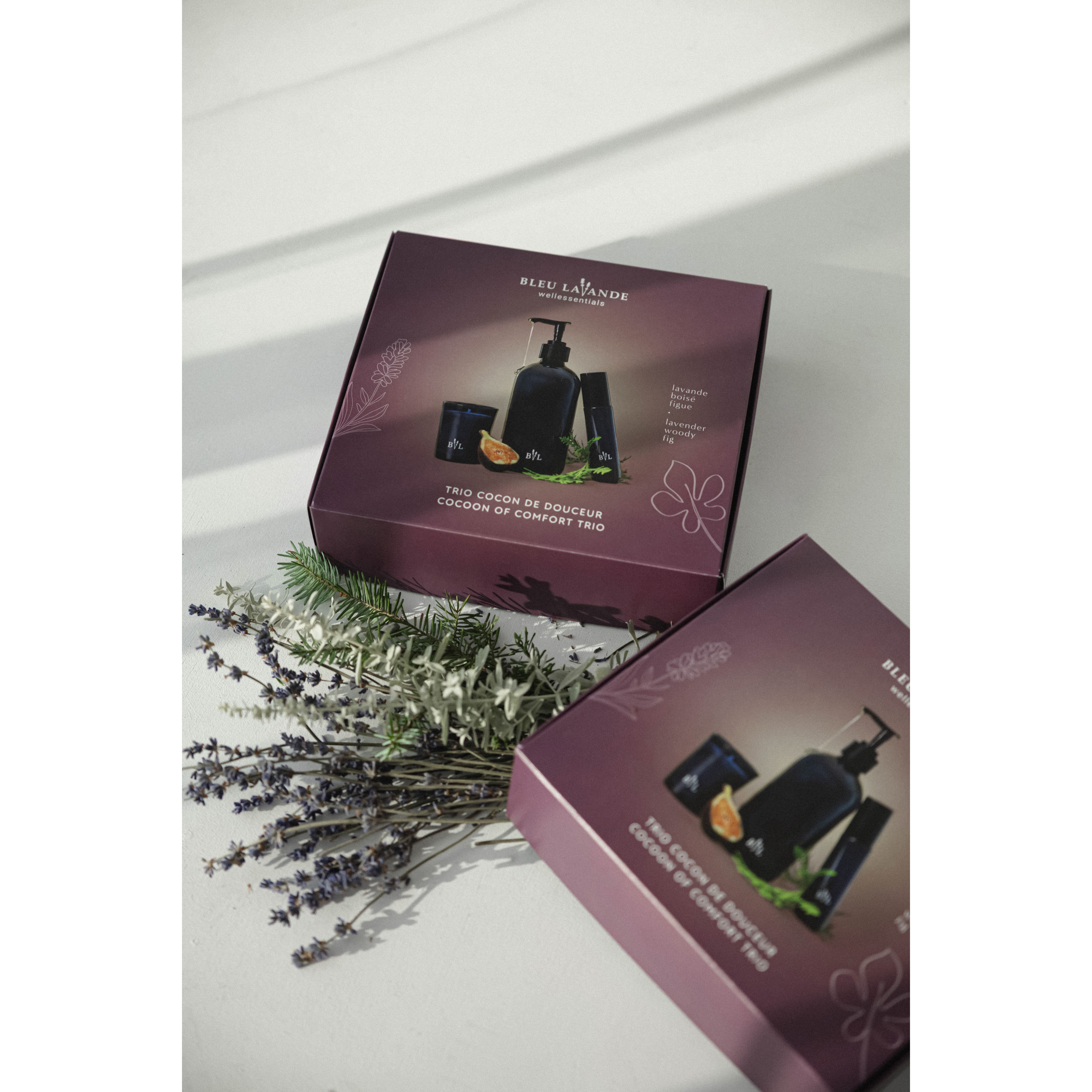 Trio Christmas House