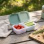 Snack Container, 2 Compartment - Sage and Cactus Fern