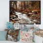 Stream in Autumn Forest  Canvas Print