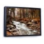 Stream in Autumn Forest  Canvas Print