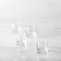 Set of 4 Echo Whisky Glasses by Fortessa