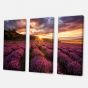 Toile « Sunrise & Dramatic Clouds Over Lavender Field IV » - 3 panneaux