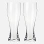 S&Co Pilsner Beer Glasses, Set of 2