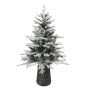 Sapin «Noble Fraser» avec DEL - 4 pi