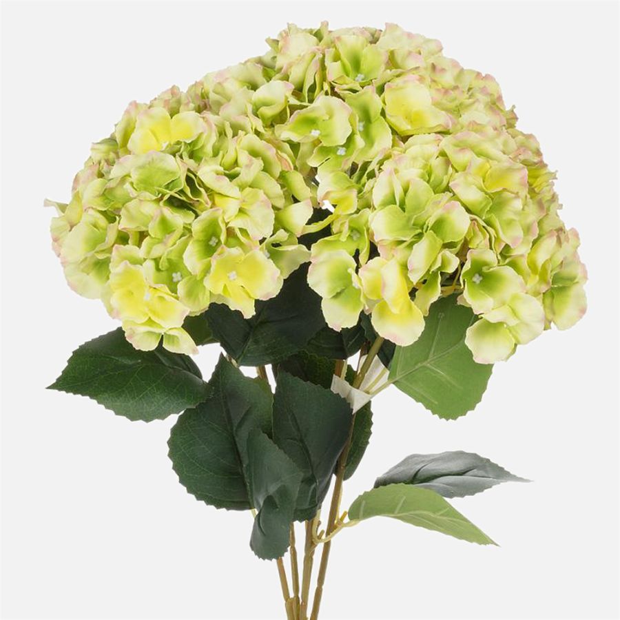  Hydrangea Bouquet, 5-Stem - Green