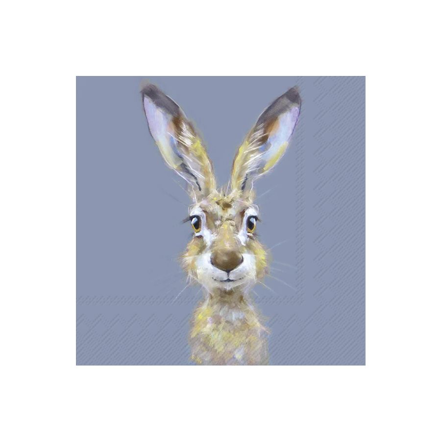 Lunch Napkins, Pack of 20 - Rabbit Buster 