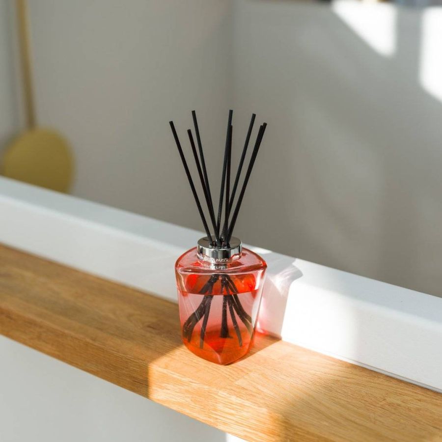 Terra Scented Bouquet by Maison Berger Paris - Orange / Cinnamon