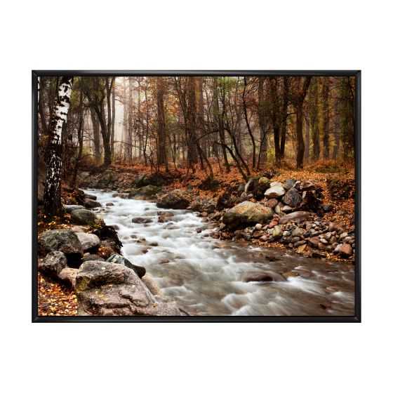 Stream in Autumn Forest  Canvas Print