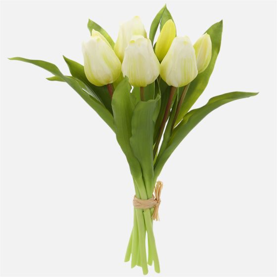 Bouquet de tulipes - Blanc