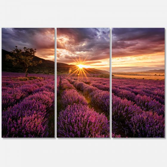 Sunrise & Dramatic Clouds Over Lavender Field IV Canvas Wall Art - 3 Panels