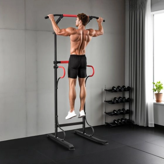 Power Tower Pull-Up & Dip Station
