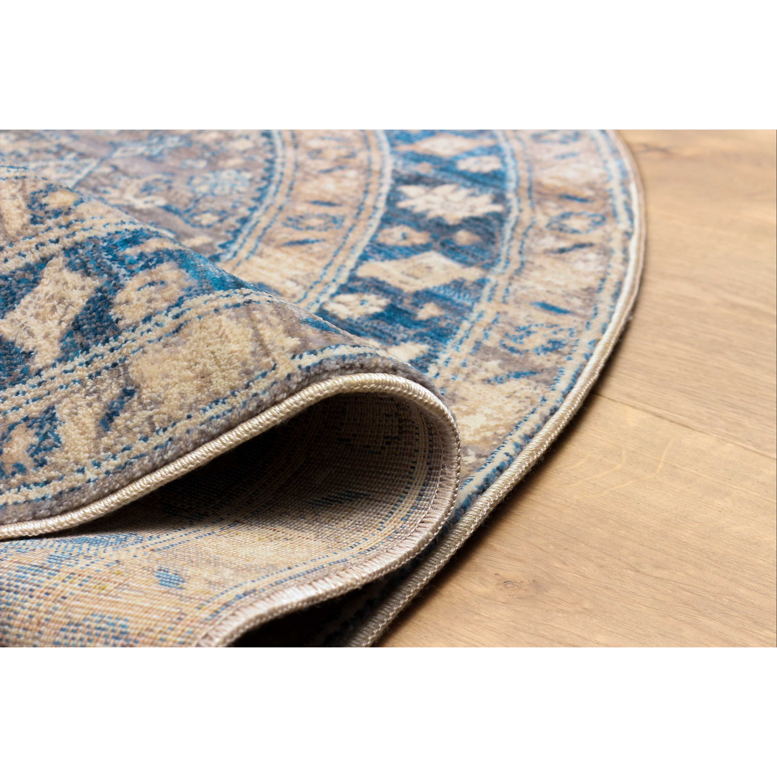 Lucia Traditional Area Rug - Blue