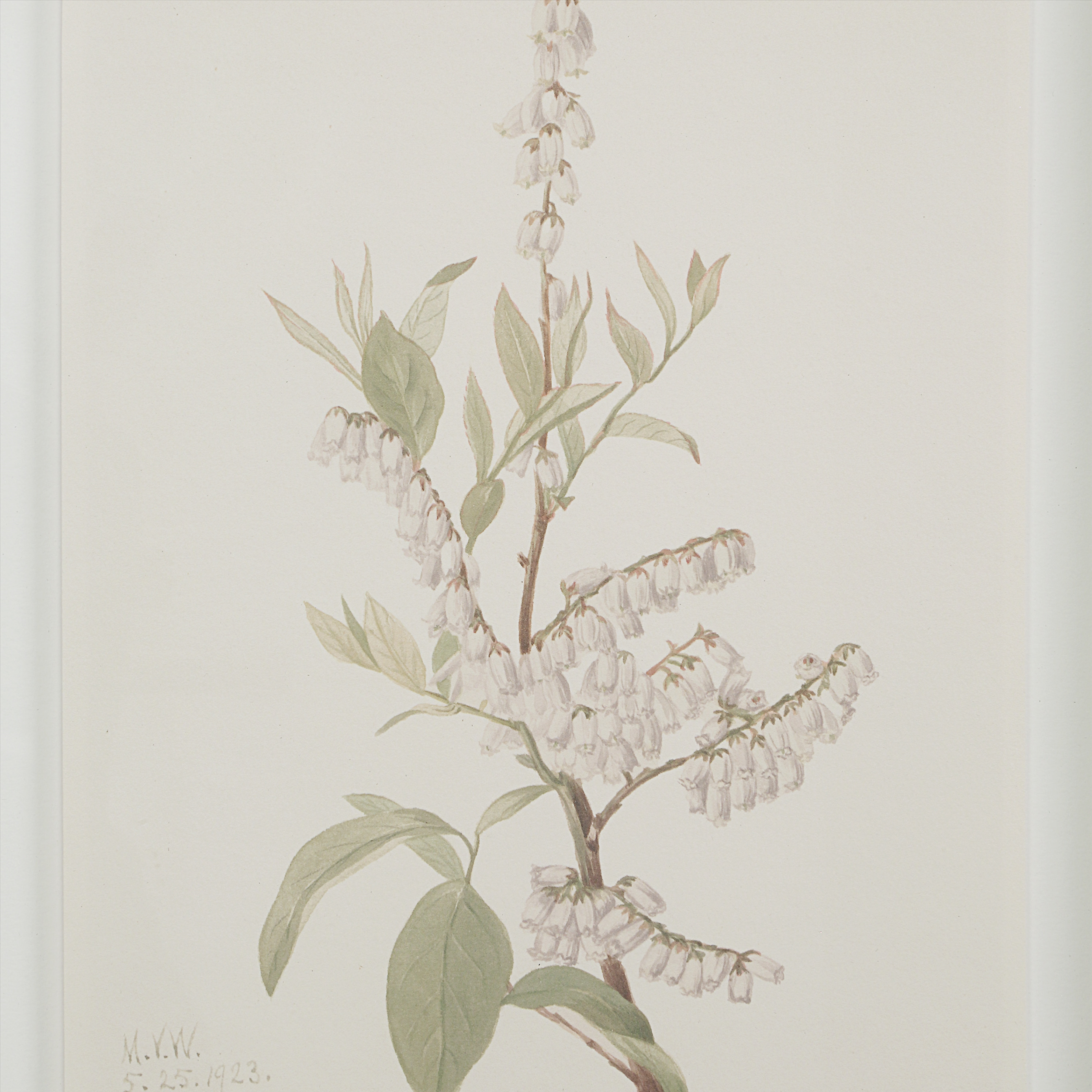 Décoration murale Crema