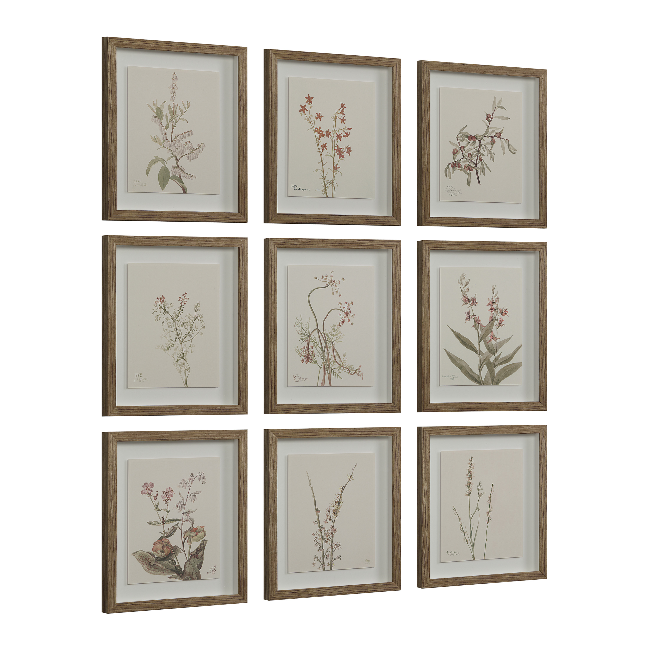 Décoration murale Crema