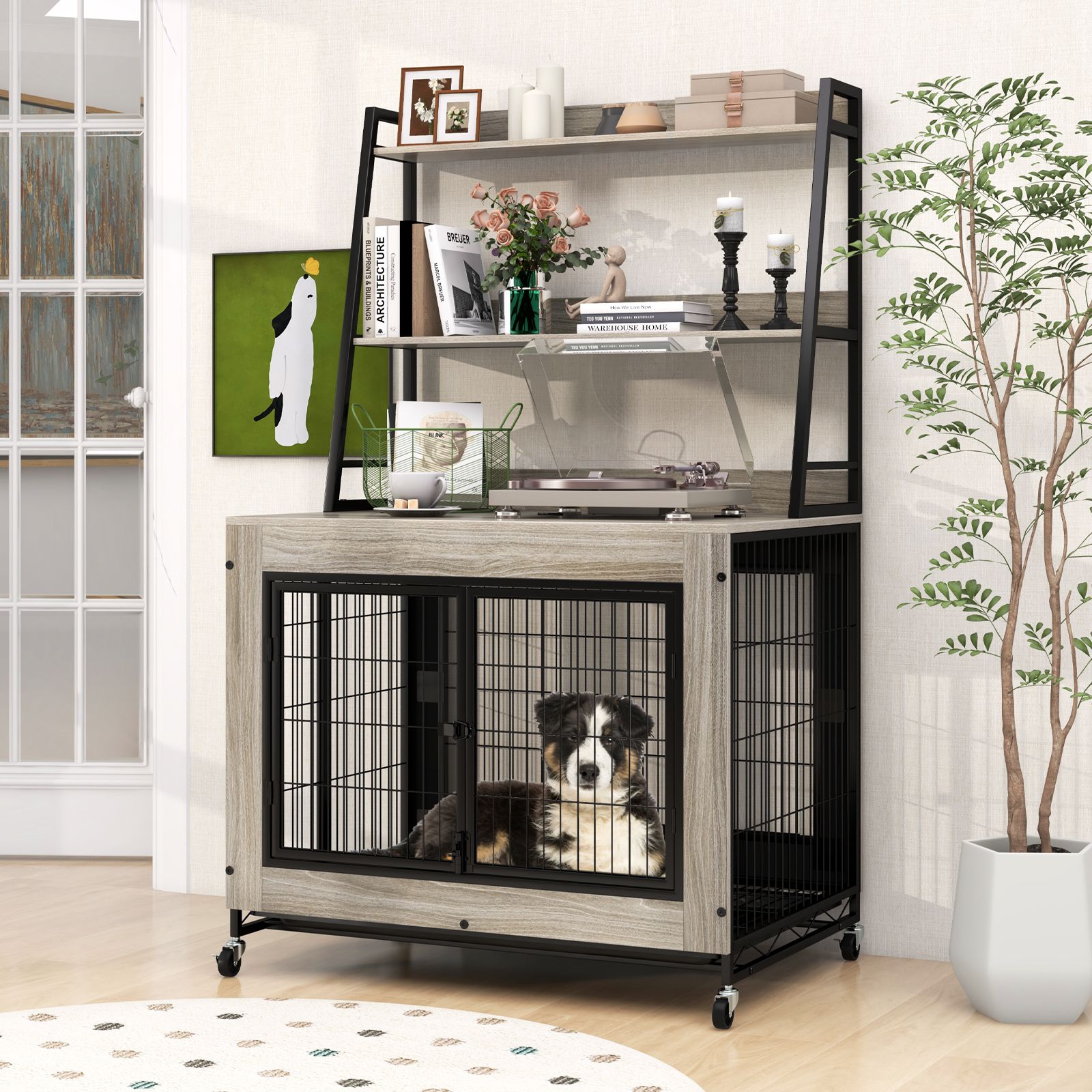 Industrial Dog Kennel Crate Furniture, Storage Shelves