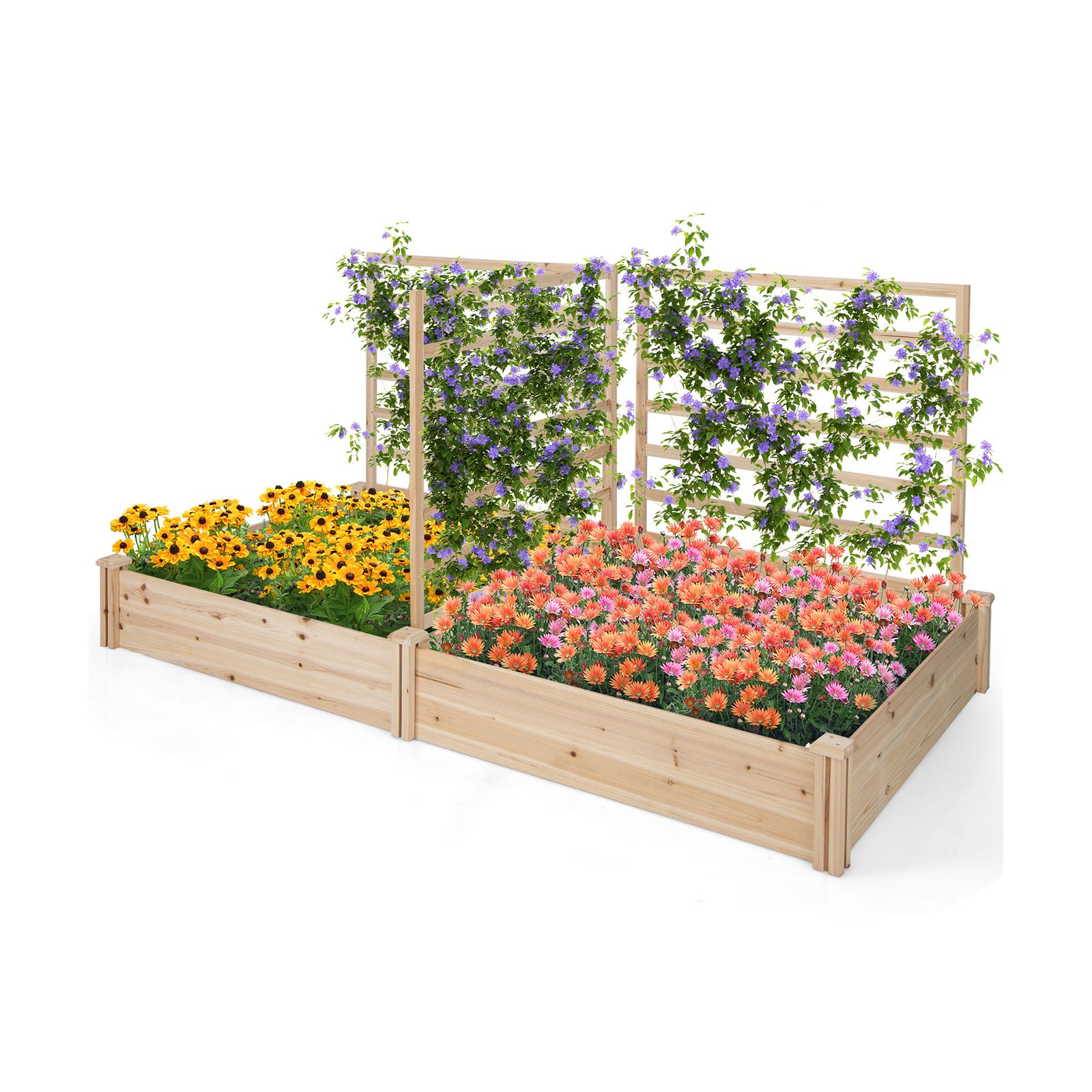 Raised Garden Bed, 2 Planter Boxes and 3 Trellis - Natural