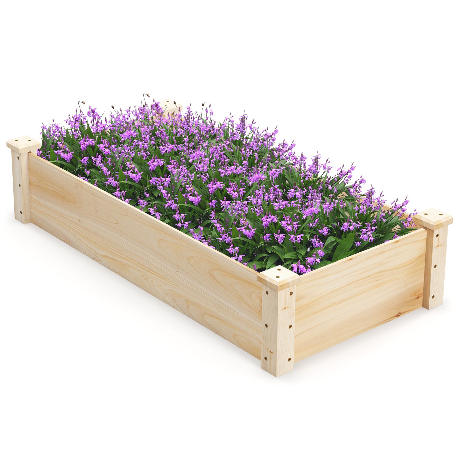 Jardinière surélevée en bois de sapin, carrée, pour le jardin