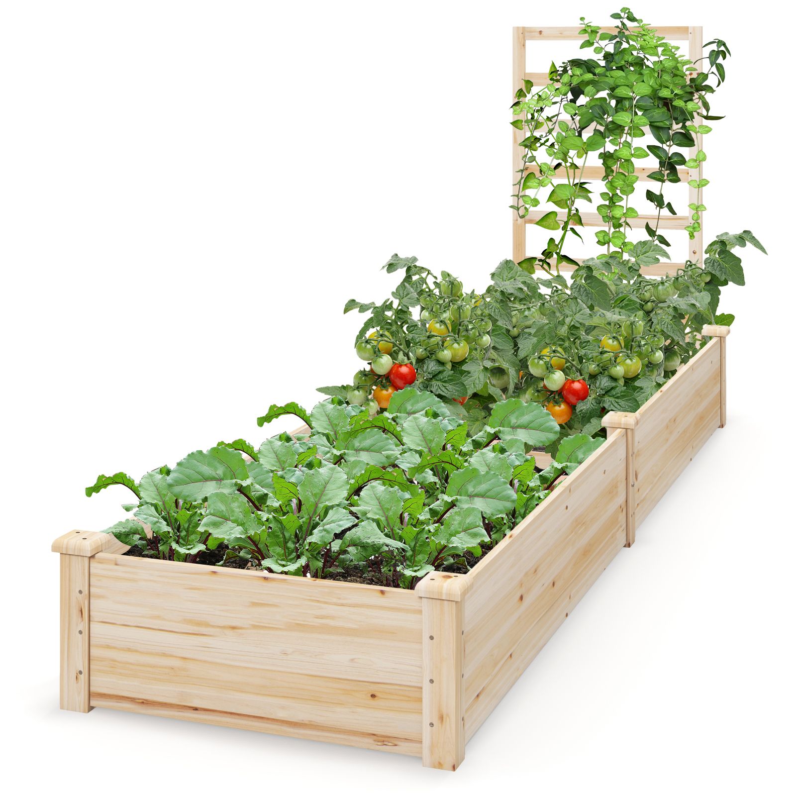 Raised Garden Bed, Planter Box and Trellis - Natural