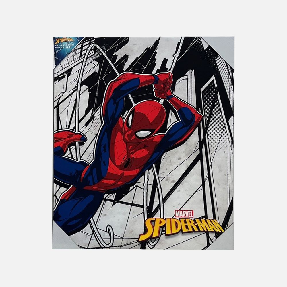 Spider-Man Canvas Art