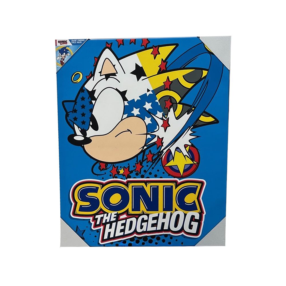 Sonic Canvas Art