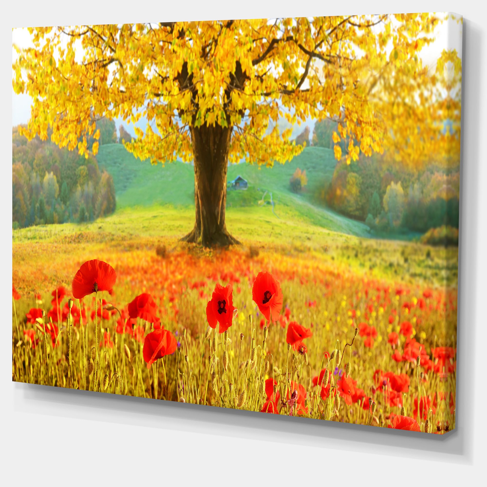 Toile « Beautiful Autumn Yellow Tree »