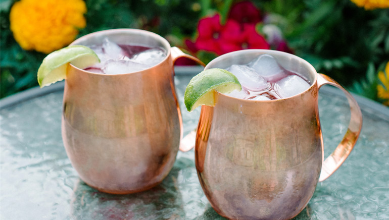 Cranberry Moscow Mule Recipe